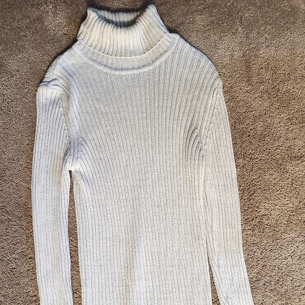 Faded Glory, Glittery Cream/Tan Turtleneck Sweater, XL